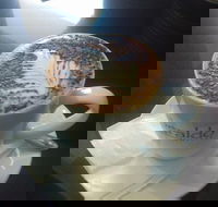 Cafe Marina and Pizzaria - Accommodation Sydney