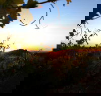 Glenbosch Wine Estate - Accommodation Sydney