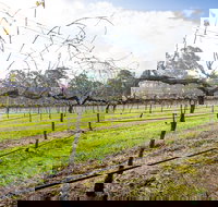 Long Point Vineyard and Art Gallery - Accommodation Sydney