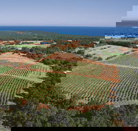 Wise Wine - Sydney 4u