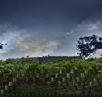 Dalrymple Vineyards - Sydney 4u