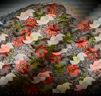 Sam's Gourmet Pizzas - Accommodation Sydney