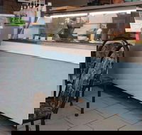 The Natural Cafe - Sydney 4u