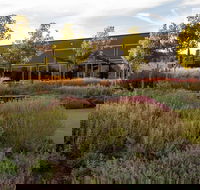 Barossa Valley Estate Cellar Door  Gardens - Sydney 4u