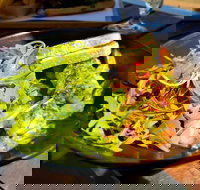 Oceanside Bar - Accommodation Sydney