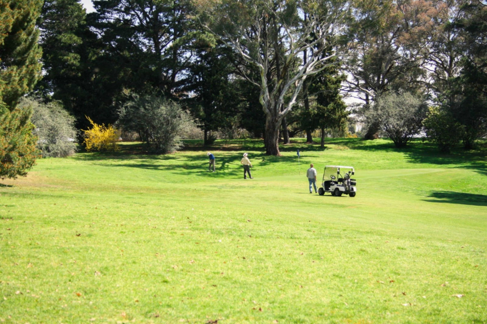 Kangiara NSW Sydney 4u