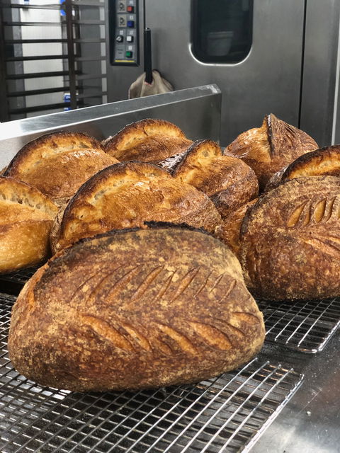 Samudera Artisian Food & Bakehouse - Accommodation Sydney 0