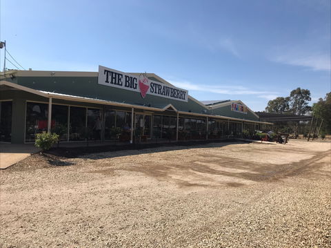 The Big Strawberry - Sydney 4u 1