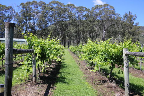 Woongooroo Estate Winery - Sydney 4u 0