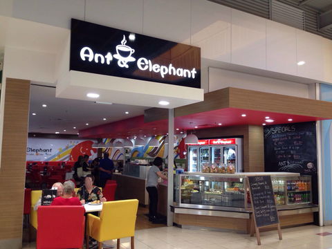 Ant & Elephant - Accommodation Sydney 0