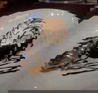 Front Bar - Greengate Hotel - Accommodation Sydney