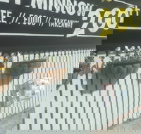 Let Minnow 2 Go - Accommodation Sydney