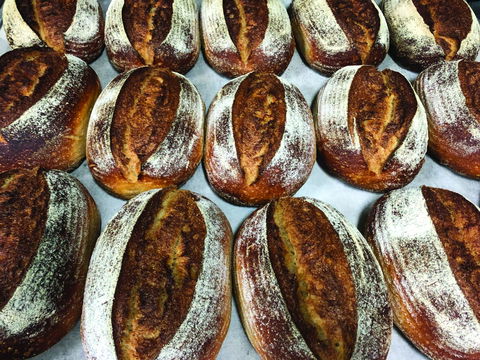 Farmer's Bakehouse - Sydney 4u 0