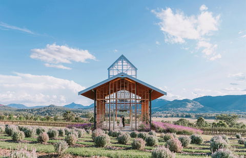 Kooroomba Vineyard And Lavender Farm - Accommodation Sydney 0