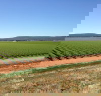 Melange Wines - Accommodation Sydney