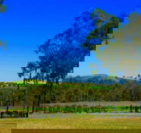 Degen Wines - Sydney 4u