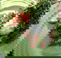 Snackleberry - Accommodation Sydney