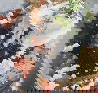 The Charles Corner - Accommodation Sydney