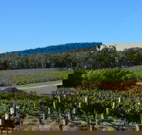 Twisted River Wines - Accommodation Sydney