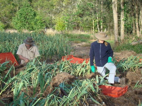 Sweet Water Farm - Sydney 4u 0