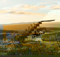 The Lane Vineyard - Accommodation Sydney