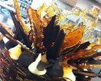 Daily Dose Cafe Wine Bar - Accommodation Sydney 0