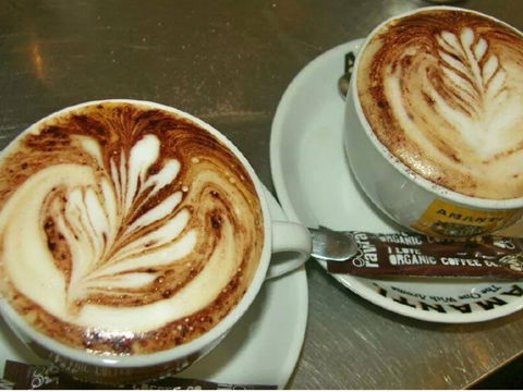 Cupz N' Crepes - Accommodation Sydney 2