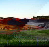 Dalwhinnie Wines - Sydney 4u