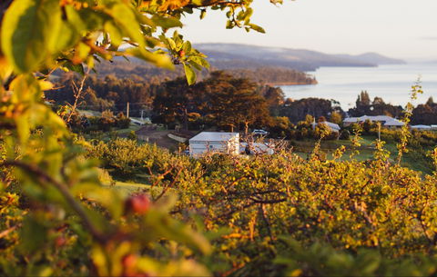The Woodbridge Smokehouse - Accommodation Sydney 0