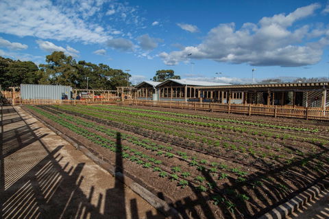 Camperdown Commons - Sydney 4u 0