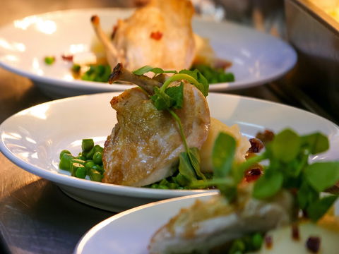 Griffith Exies Club - Accommodation Sydney 1