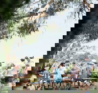 St Leonards Vineyard Caf - Sydney 4u