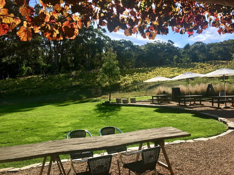 Deviation Road Winery - Accommodation Sydney 0