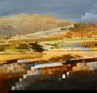 Optimiste Wines - Sydney 4u