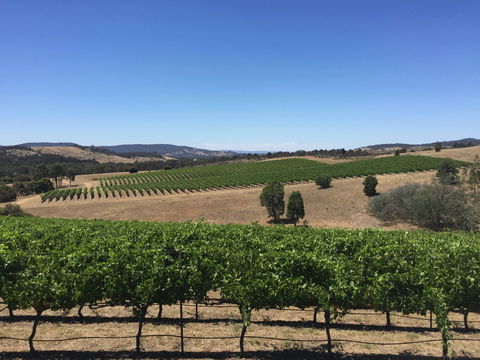 Peerick Vineyard And Winery - Sydney 4u 0