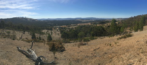 Peerick Vineyard And Winery - Sydney 4u 2