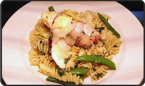 Spotty Cat - Accommodation Sydney 0