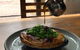 The FiG Coffee House - thumb 0