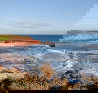 The Cape Kitchen - Accommodation Sydney