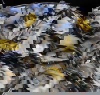 View 42o - Accommodation Sydney