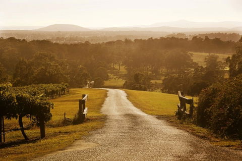 Petersons Wines - Sydney 4u 0