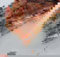 Pizza Riviera - Accommodation Sydney