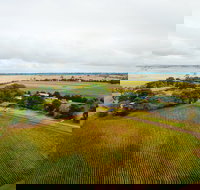 Pettavel Wines - Accommodation Sydney