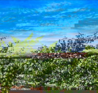 Rowsley Fault Vineyards - Accommodation Sydney