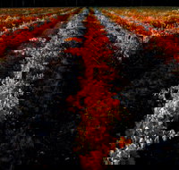 Sandhurst Ridge - Accommodation Sydney