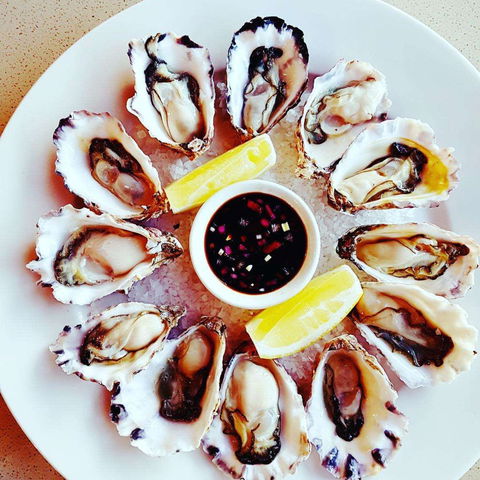 Shearwater Restaurant - Accommodation Sydney 0