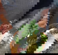 Cafe Macarthur - Accommodation Sydney