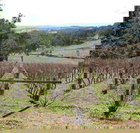 Habitat Vineyard - Sydney 4u
