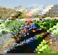 Hillwood Berries Farmgate  Pick Your Own - Accommodation Sydney