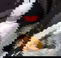 Lil' Orbit - Accommodation Sydney